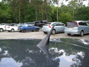 CIMG0521.JPG CIMG0521.JPG