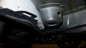 P1000495-1.jpg P1000495-1.jpg