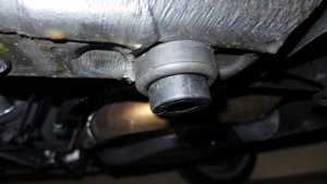 P1000497-1.jpg P1000497-1.jpg