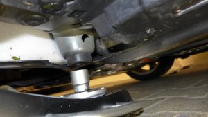 P1000499-1.jpg P1000499-1.jpg