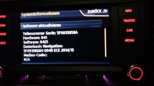 Seat Software Info.jpg