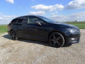 P1030760 (Medium).JPG