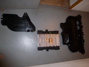 P1010556.JPG P1010556.JPG