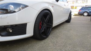 Leon Tiegerlegung 002.jpg