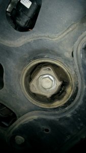 IMG_20151210_082443 (Small).jpg IMG_20151210_082443 (Small).jpg