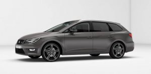 Leon ST FR 02 MAM_A1.jpg