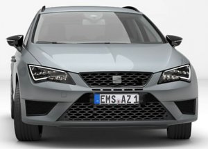 Cupra Front.jpg