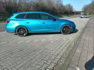 IMG_20160227_135916.jpg IMG_20160227_135916.jpg