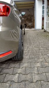 Leon_20mm.jpg Leon_20mm.jpg