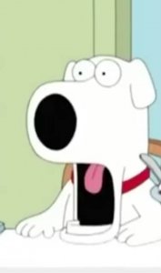 uploadfromtaptalk1463947913637.jpg uploadfromtaptalk1463947913637.jpg