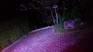 DSC_0782.JPG DSC_0782.JPG