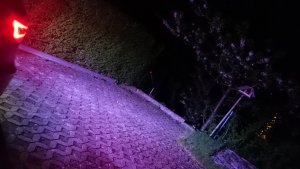 DSC_0784.JPG DSC_0784.JPG