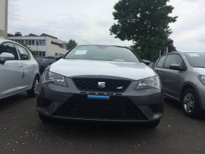 cupra_2.jpg