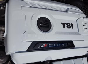 CupraSTAbdeckungTSI.jpg