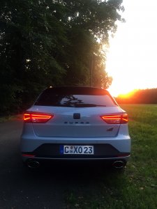 cupra2.jpg