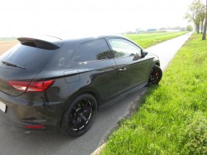 RP5_Cupra2.jpg