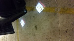 IMG-20161016-WA0001.jpeg IMG-20161016-WA0001.jpeg