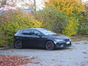 IMG_1925.jpg IMG_1925.jpg