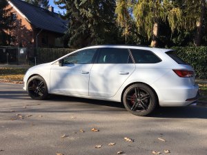 IMG_0560.JPG IMG_0560.JPG