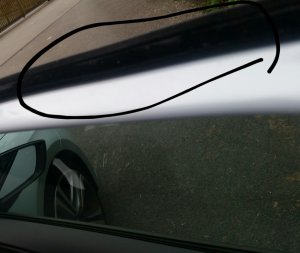 2016-11-24 12.55.50.jpg