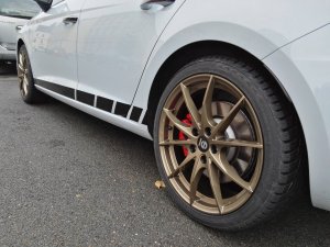 14715634_1236702899683113_9114560857444122172_o.jpg 14715634_1236702899683113_9114560857444122172_o.jpg