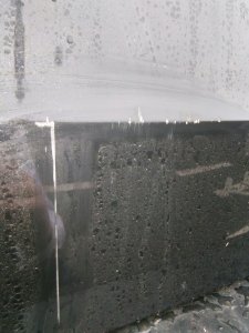 IMG-20170203-WA0001.jpg IMG-20170203-WA0001.jpg