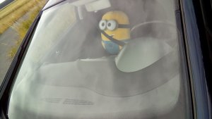 20170623_143029.jpg 20170623_143029.jpg