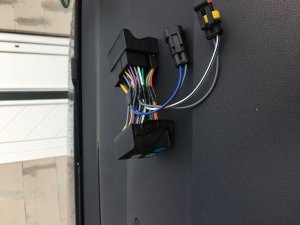 Foto 06.03.17, 11 55 58.jpg