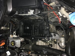 2017-07-14 18.22.10.jpg