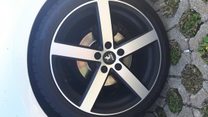 20170908_145636.jpg 20170908_145636.jpg