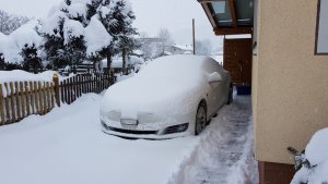 20180122_085504 (Large).jpg