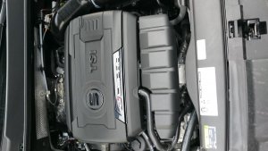 DSC_0012_6.jpg DSC_0012_6.jpg