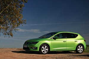 comp_Herbst 15.10.2017 (20).jpg comp_Herbst 15.10.2017 (20).jpg