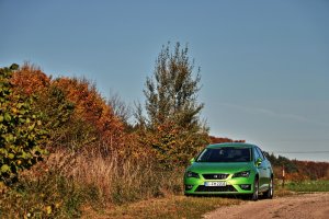 comp_Herbst 15.10.2017   (38).jpg