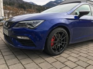 81349C03-C09C-40C7-A001-B3669B00FF5B.jpg 81349C03-C09C-40C7-A001-B3669B00FF5B.jpg