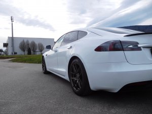 DSCN1015 (Large).JPG