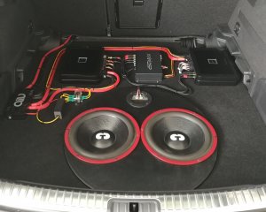 woofer.jpg woofer.jpg