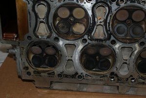 Kopf unten links.JPG