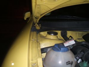 domlager leon original.jpg