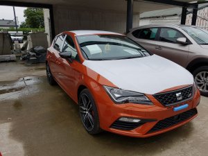 cupra1.jpg