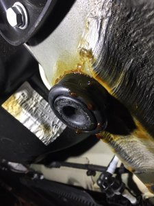 87690A8F-C7C9-4288-BA88-03C3569850AF.jpg 87690A8F-C7C9-4288-BA88-03C3569850AF.jpg