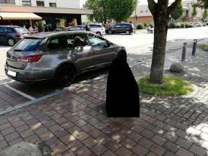 leontechnikgrau.jpg leontechnikgrau.jpg