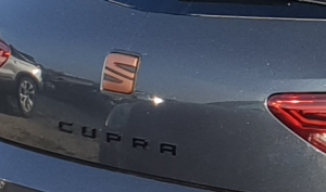 2018-11-08 08_26_22-MJ 2019 grau hinten rechts.jpg - IrfanView (Zoom_ 4160 x 2340).png