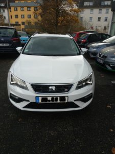 Neuer Leon 1.jpg Neuer Leon 1.jpg