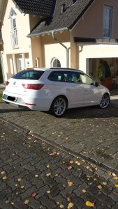 Neuer Leon 2.jpg Neuer Leon 2.jpg