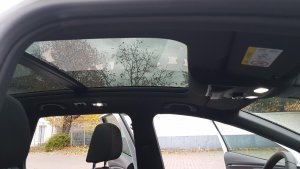 IMG-20181110-WA0008.jpg IMG-20181110-WA0008.jpg