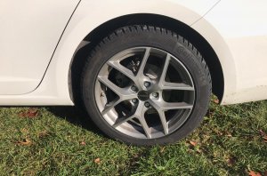 7DD61C23-BB29-4104-90DE-22DE051DFA85.jpg 7DD61C23-BB29-4104-90DE-22DE051DFA85.jpg