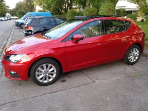 IMG_20180922_183147_948.jpg IMG_20180922_183147_948.jpg