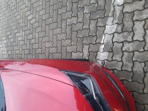 20190315_171744 (Groß).jpg