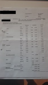 Hinni Achsvermessung.jpg